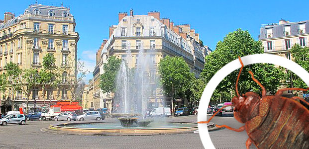 Entreprise traitement punaises de lit Paris 75016 Entreprise traitement punaises de lit Paris 75016