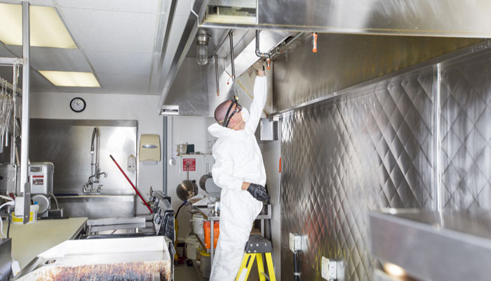 Extermination de cafards dans un espace professionnel