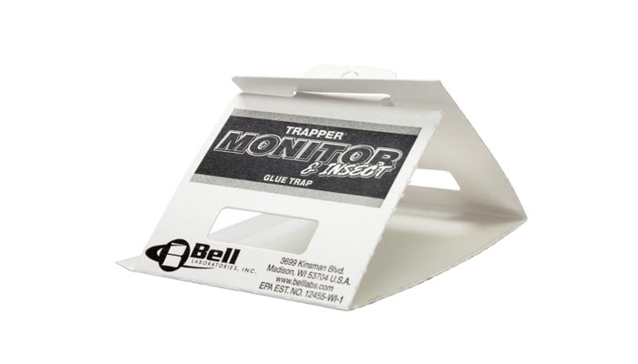 Piège collant de monitoring pour détecter les cafards et vérifier l'efficacité du traitement