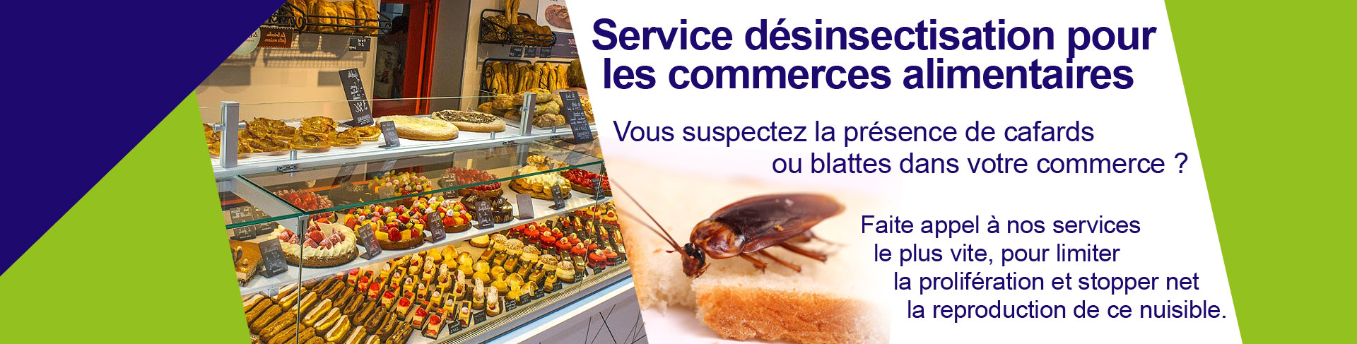 Service desinsectisation commerce alimentaire
