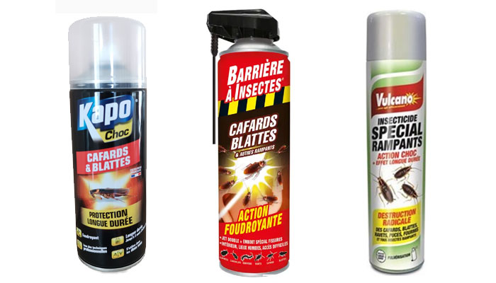 Sprays Insecticides Cafards
